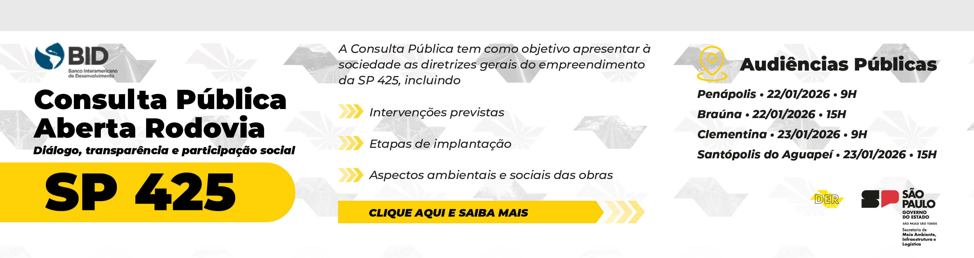 ConsultaPublica_SP425