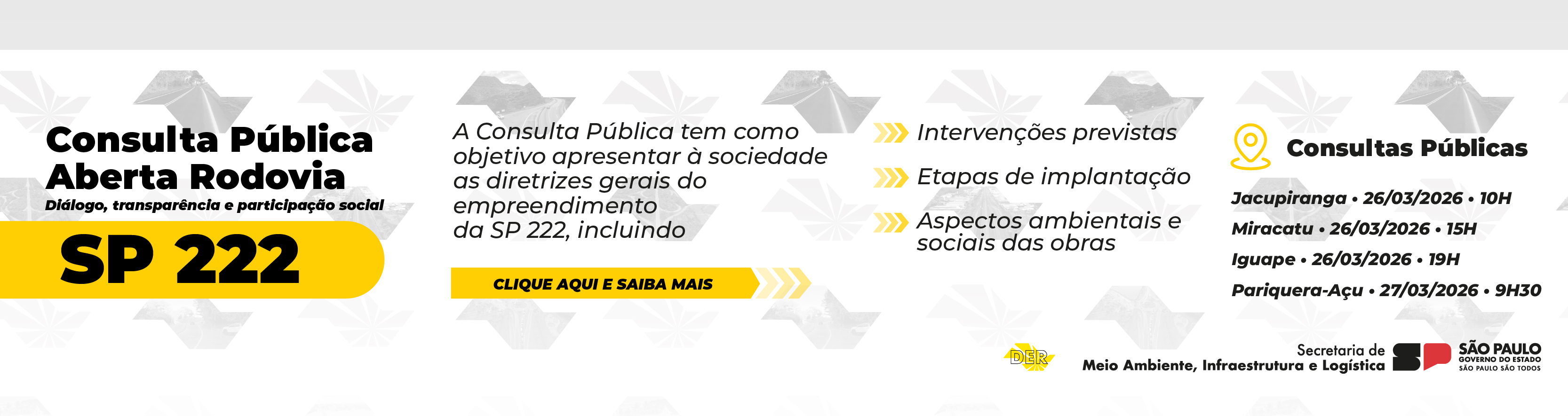 Consulta P�blica SP 222