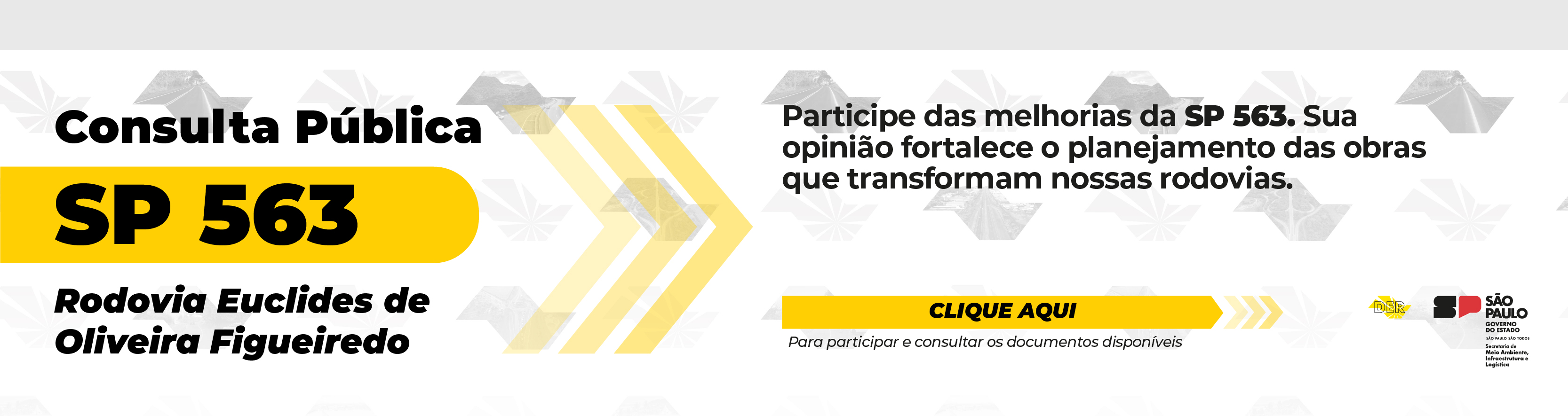 Consulta P�blica SP 563