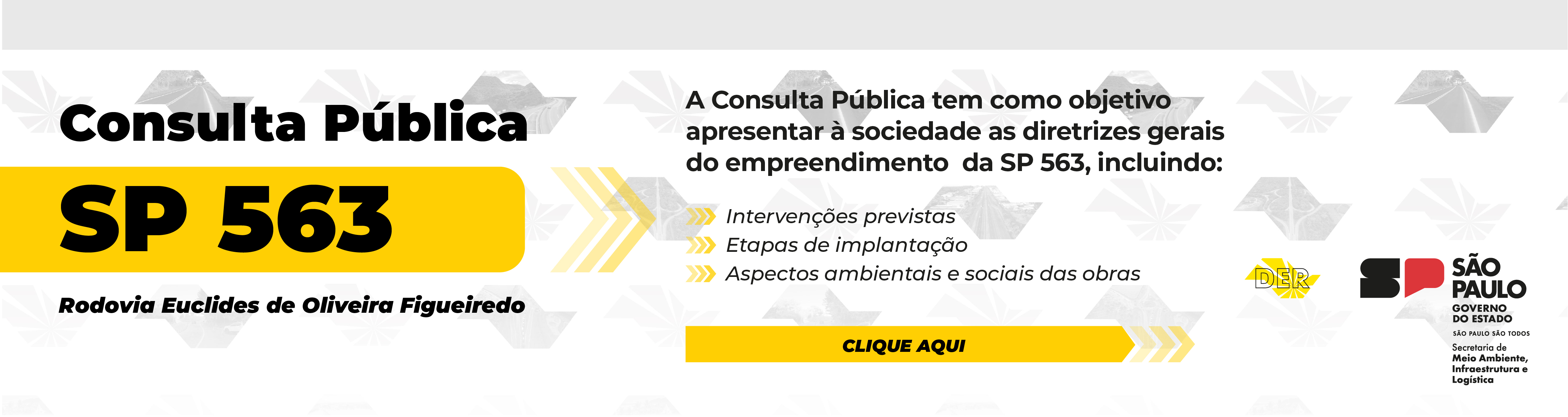 Consulta P�blica SP 563